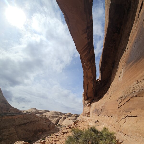 Under the Arch