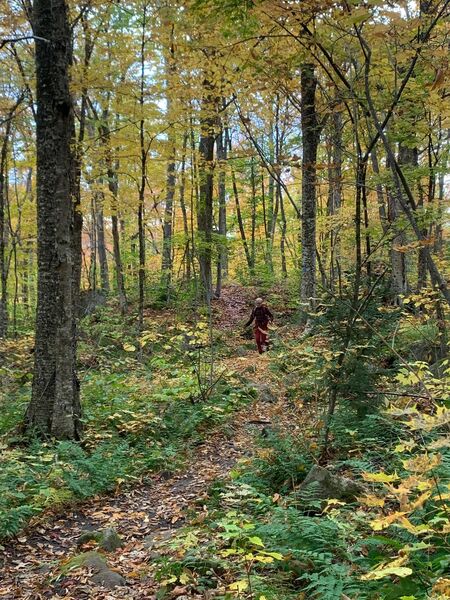 Towards beginning of Wheeler Mountain trail 10/9/22.