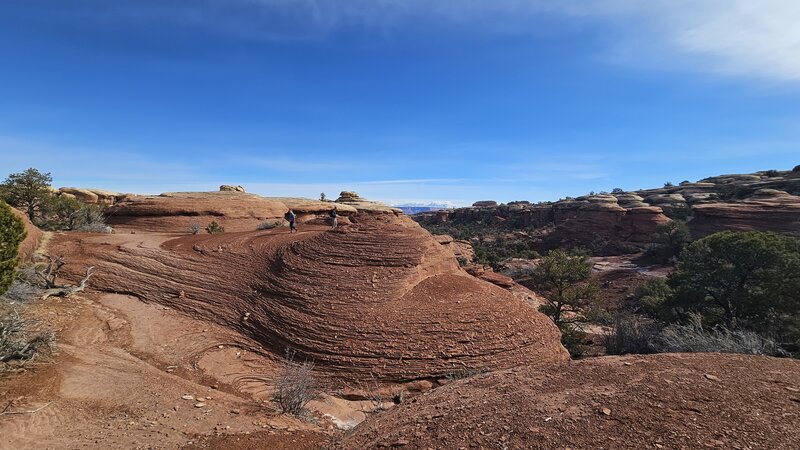 Elephant Hill Trail portion of Druid Arch hike.