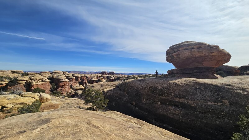 Elephant Hill Trail portion of Druid Arch hike.