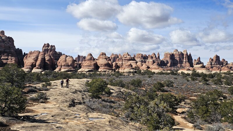 Elephant Hill Trail portion of Druid Arch hike.