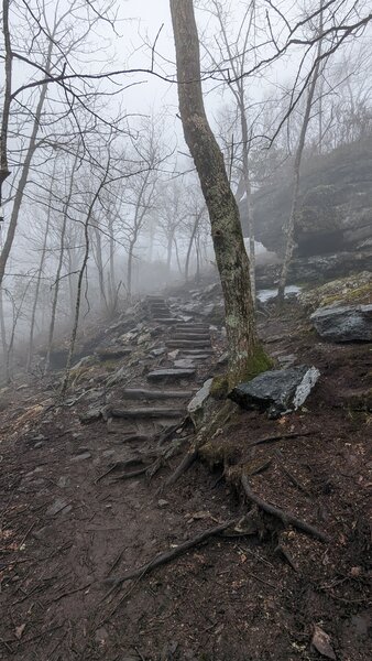 Some steps along the the trail.