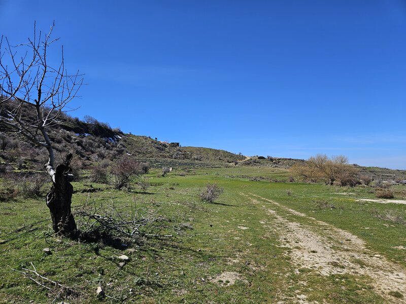 Baslouqit Meadow