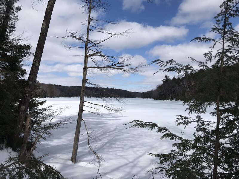 View of Shaver Pond from the southwest shore.