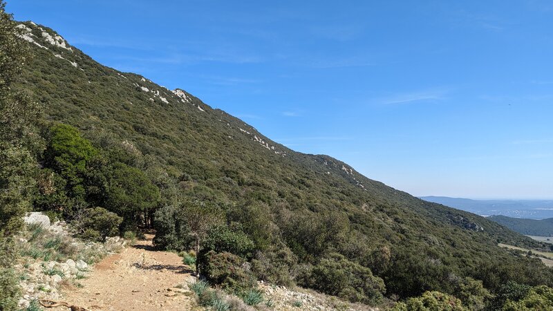 View from Pic St Loup trail (bottom).