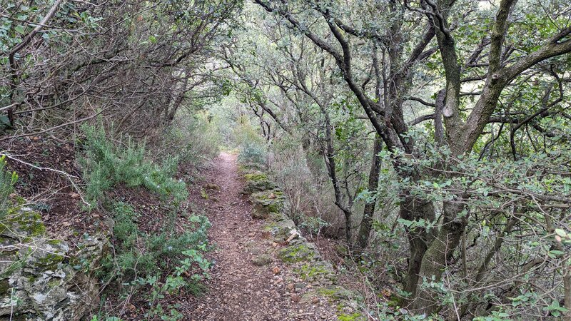 Cirque de l'Infernet (trail)