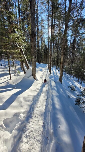 Snowy slope but easy to do.