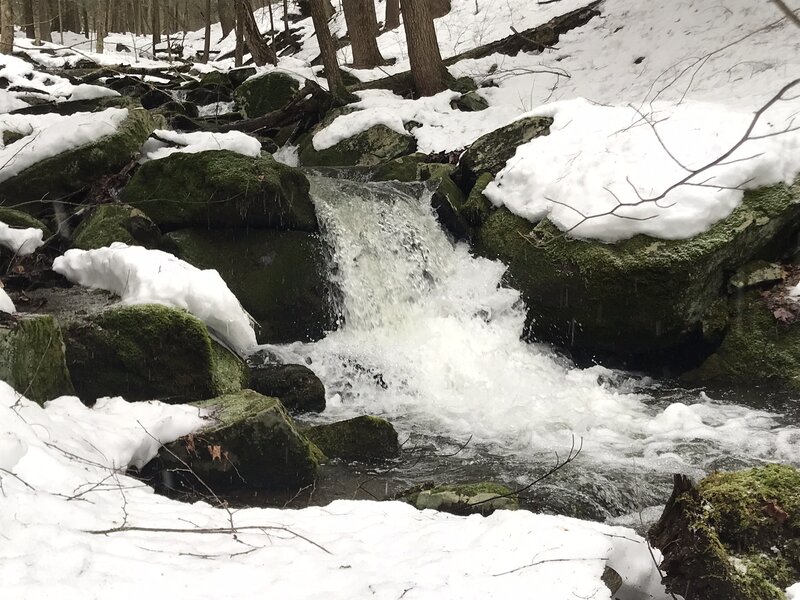 Ward Hollow Falls.