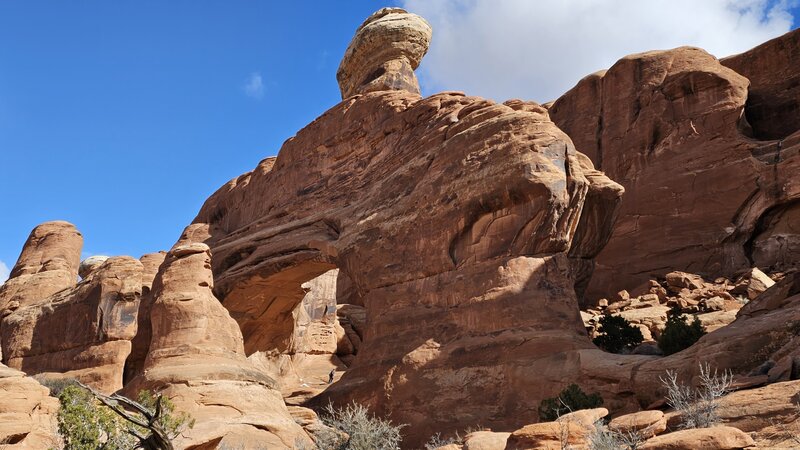 Tower Arch