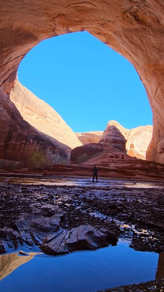 Coyote Gulch Alcove