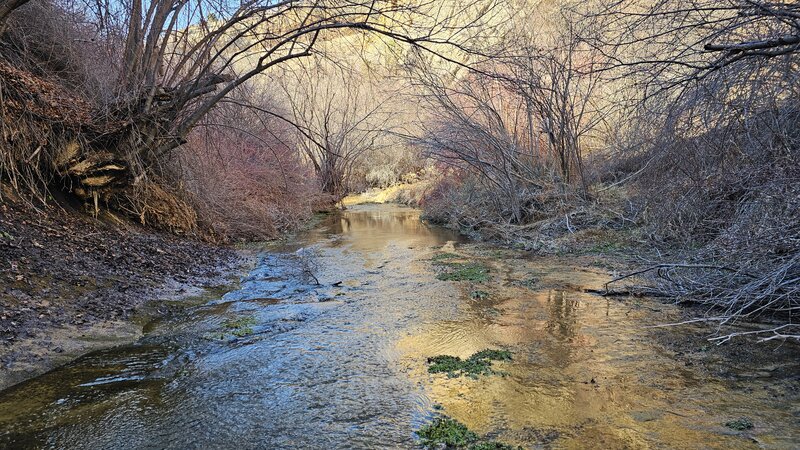 Calf Creek below the falls