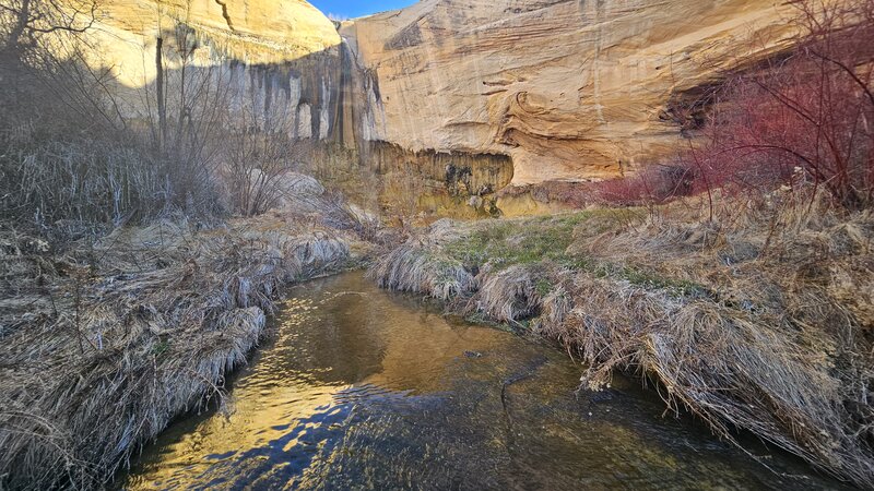 View of the falls from the creek.