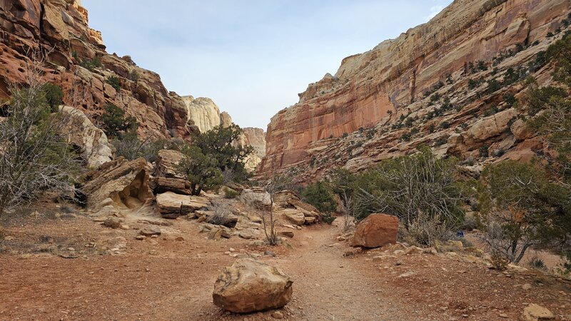 View from the trail