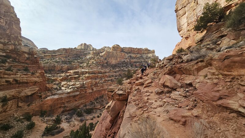 View from the trail.