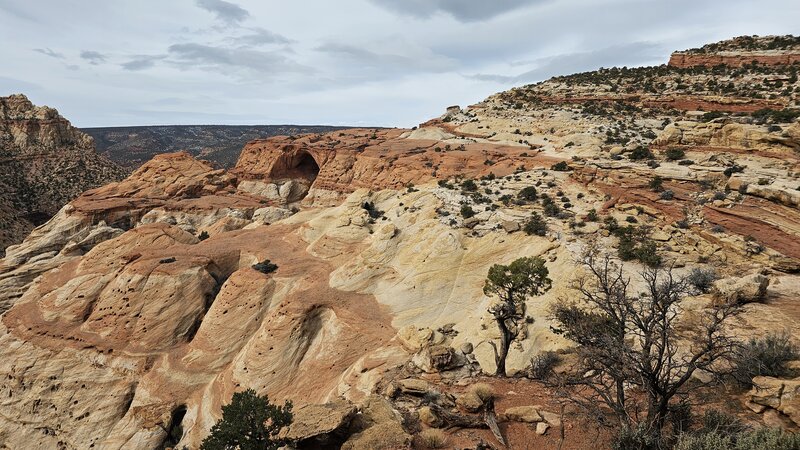 View from the trail.