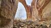 Escalante Natural Bridge