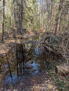 Not far down the trail after the entrance it was flooded.