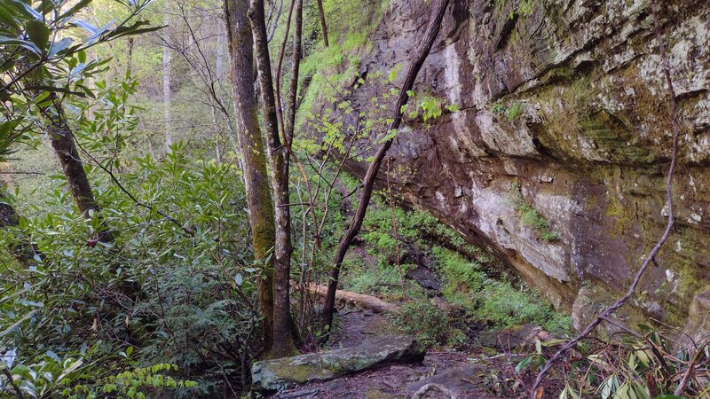 Rock wall along the trail.