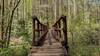 Bridge over the East Fork of the Chattooga, connecting to the Chattooga River Trail.