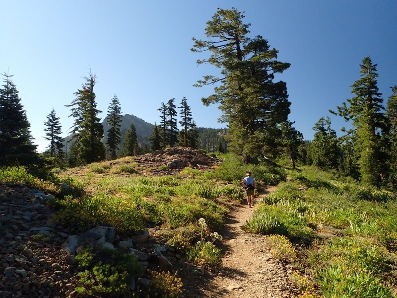 On the trail to Sierra Buttes not far from the trailhead.