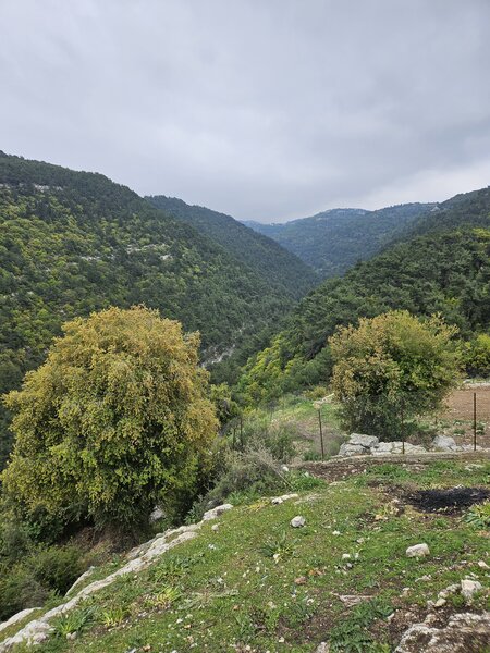 The valley above from the stone house.