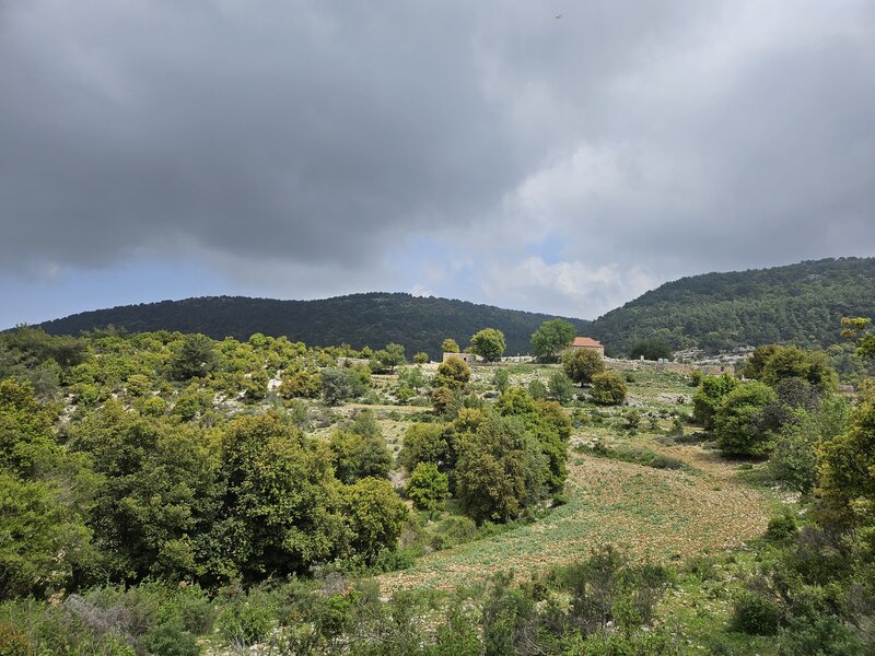 The stone house