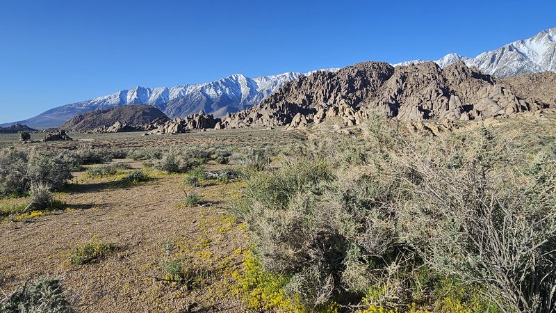 View from the trail