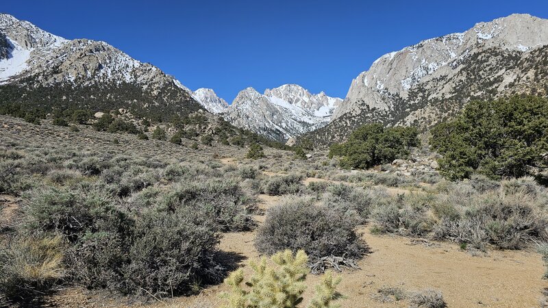 View from the trail.