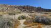 Exploring Hagen Canyon. Spring flowers.