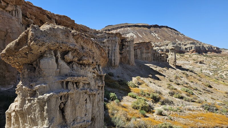 Exploring Hagen Canyon. Spring flowers