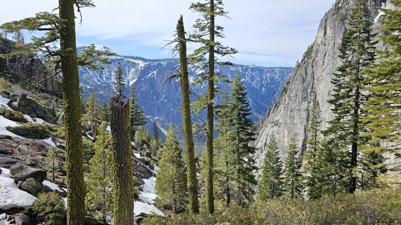 View from the trail.