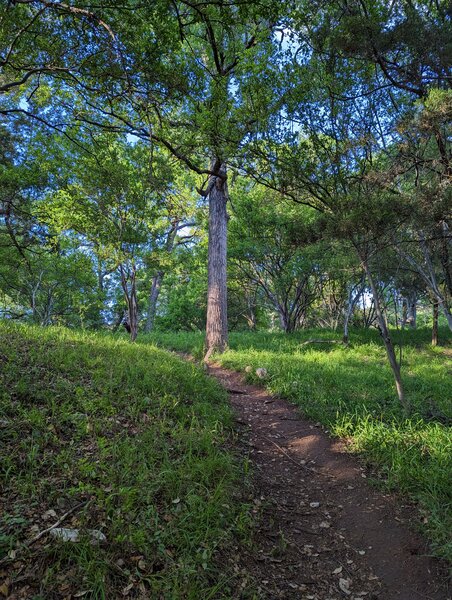 Riverside Trail