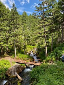 Sheridan Mountain Trail.