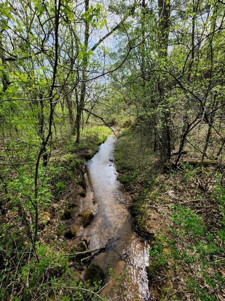 Trout Brook near County Highway 21.