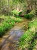 Trout Brook near trail intersection AF.