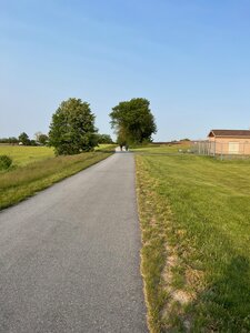 Looking down the trail.