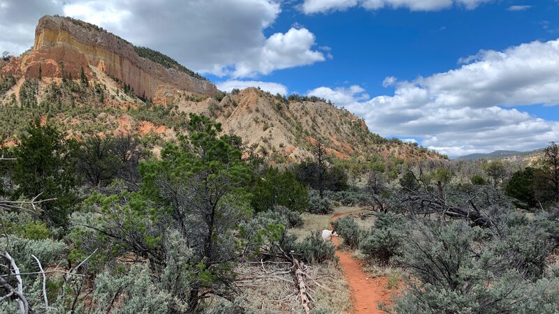 About two miles from Skull Bridge.