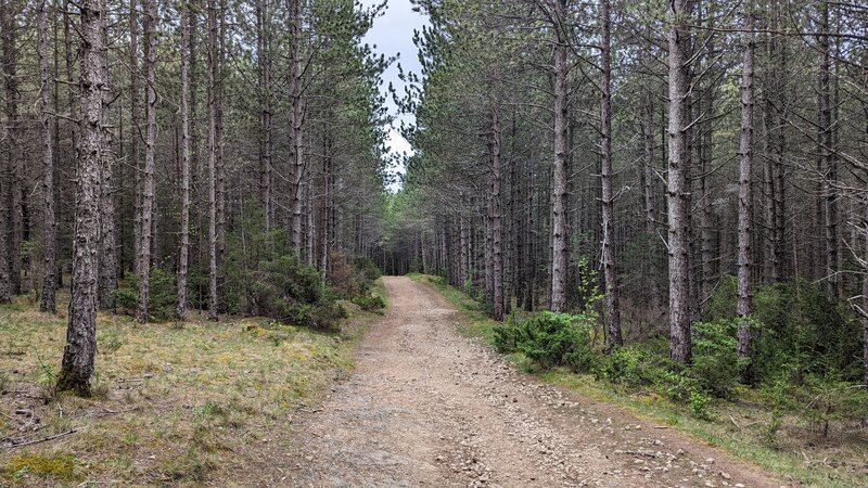 Fire access road – Mejan and Tarn cliff route.