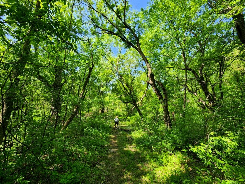 On the Lone Rock Spur Trail.