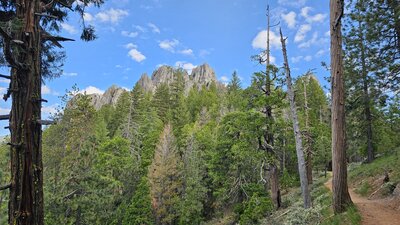 View from the trail.