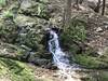 Jackson Brook Cascades