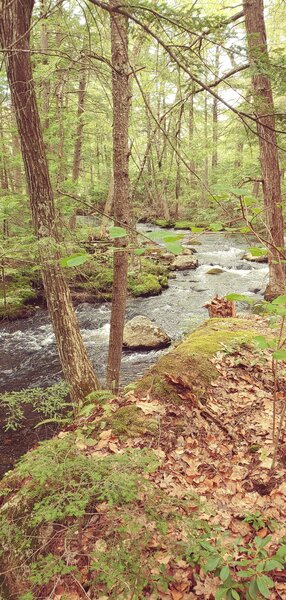 Purgatory Brook