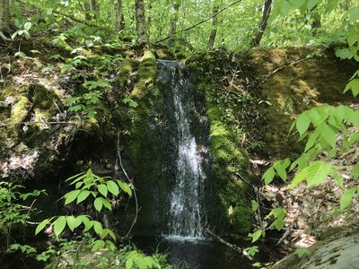 Beech Grove Falls