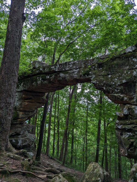 Sewanee's Natural Bridge