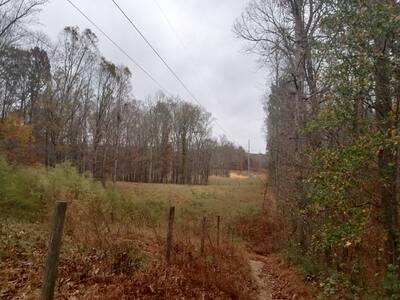 The powerline cut running through the field that runs along the trail.