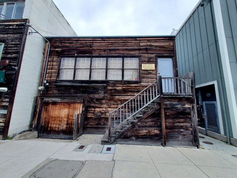 Edward Rickett's lab near the Monterey Bay Aquarium.