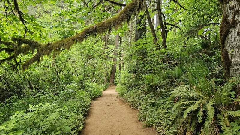 View from the trail.