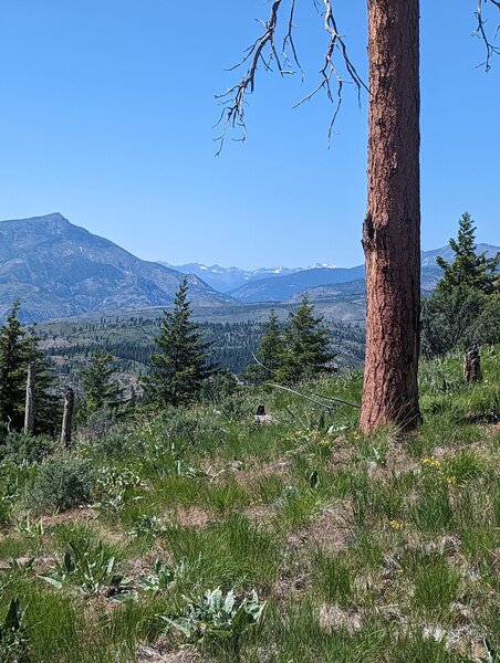 View of Glacier Peak.