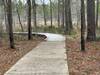 Trail begins with concrete pavement transitions to a nice boardwalk then to a well-maintained natural trail.