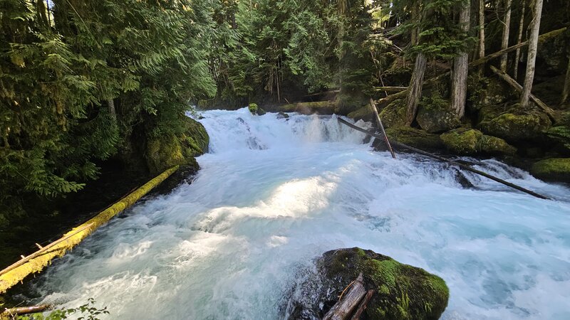 McKenzie River Trail (3507)